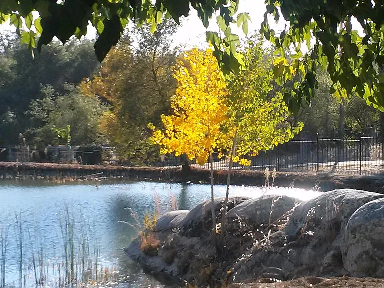 6730 Mystery Creek Ln — Photo 19