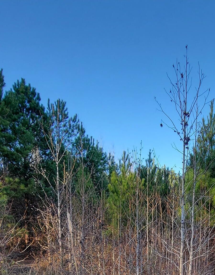 3 Nc 87 Hwy Highway E, Riegelwood, NC 28456 | Zillow