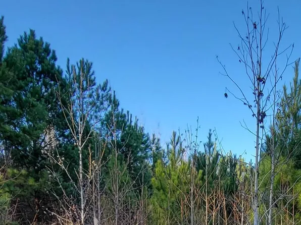 3 Nc 87 Hwy Highway E, Riegelwood, NC 28456