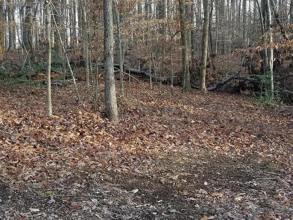 1st image of 31 Dogwood Dr
