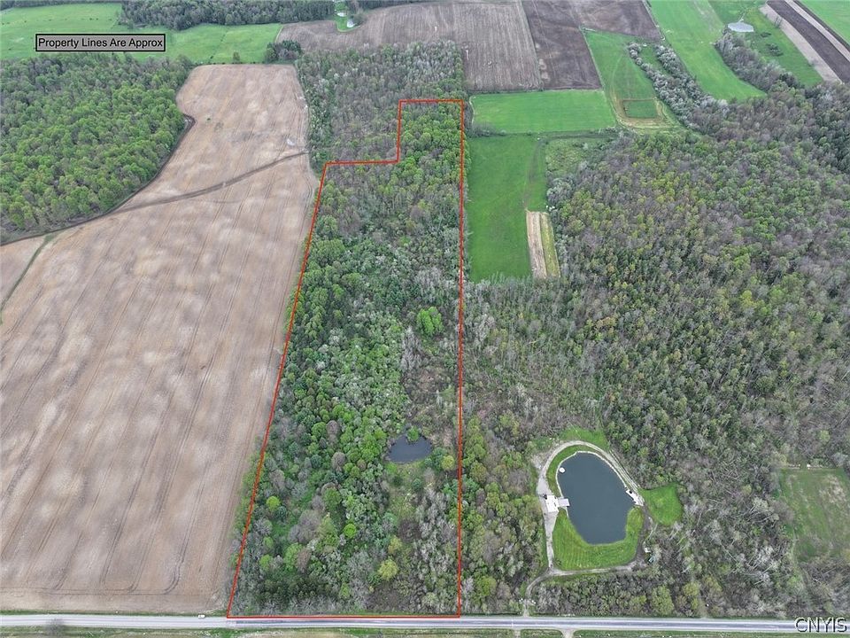 1st image of Youngs Rd
