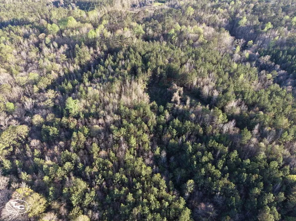 0 Campbell Landing Rd, Thomasville, AL 36784