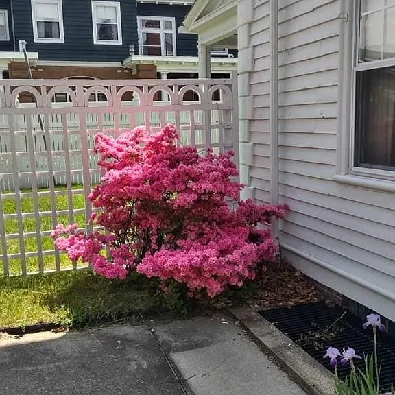 36 Underwood St — Photo 13