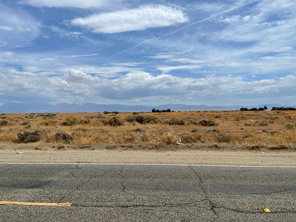 1st image of Avenue K