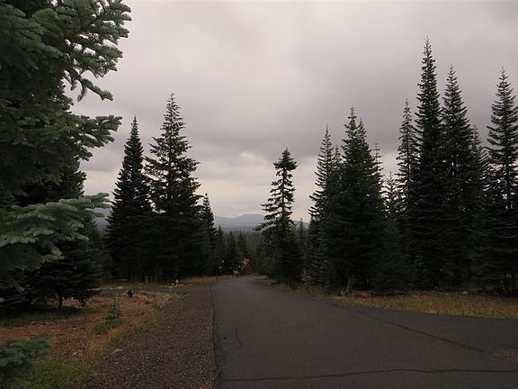 5th image of 42269 Skiway Dr