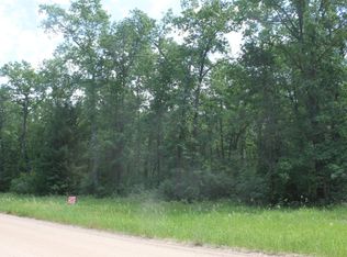 S Baker Rd, Wellston, MI 49689