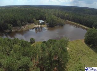 496 Harpe Hill Rd, Chesterfield, SC 29709