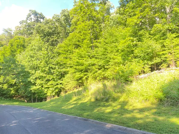 LOT 12 Cove Springs Dr, Dandridge, TN 37725