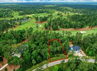 4451 Lily Bean Rd, Montgomery, TX 77316