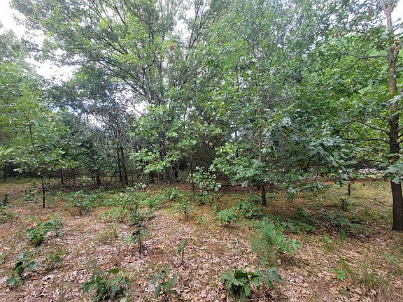5th image of LOT 30 Fern Ln