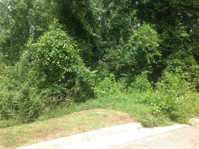 000 Belmeade Ct, Danville, VA, 24540