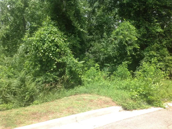 000 Belmeade Ct, Danville, VA 24540