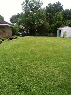 2nd image of 109 Huntington Dr