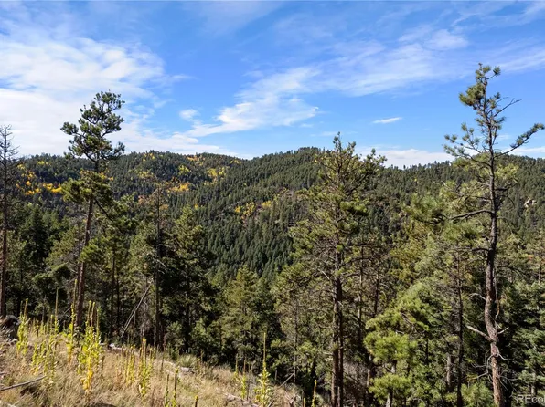 13126 Andiron Way LOT 126, Larkspur, CO 80118