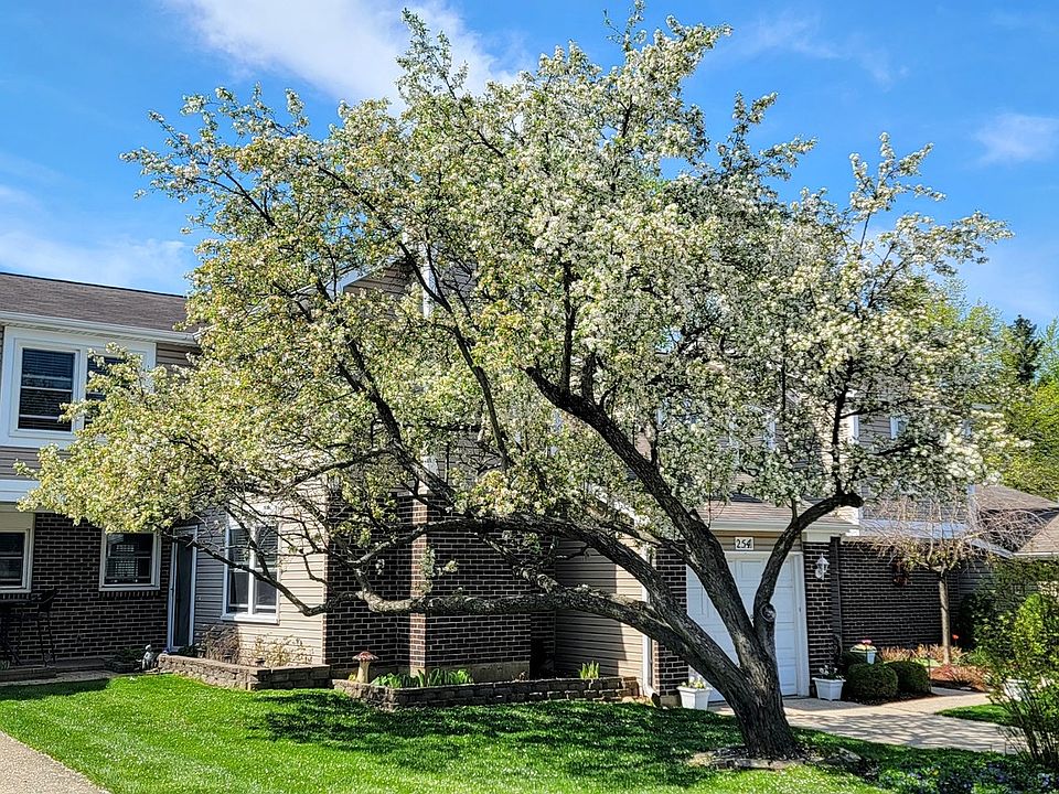 1st image of 256 Tamarack Dr