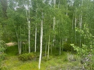 842 Elkdale Dr, Tabernash, CO 80478