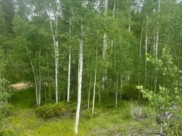 842 Elk Dale Drive, Tabernash, CO 80478