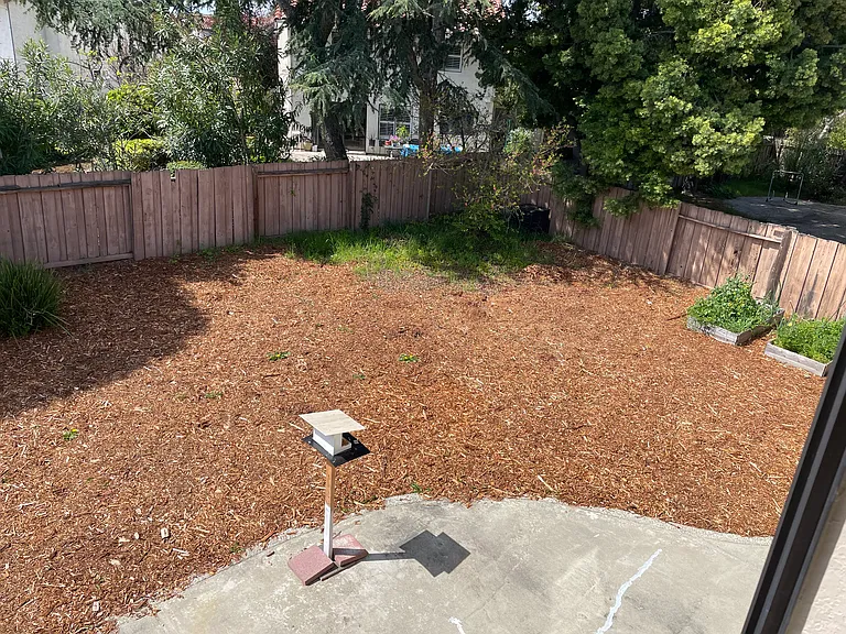 Huge backyard