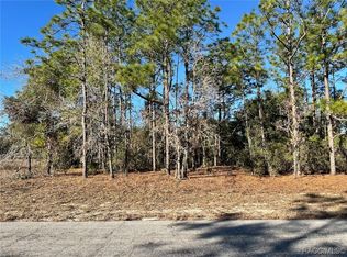 10385 N Spaulding Dr, Citrus Springs, FL 34433