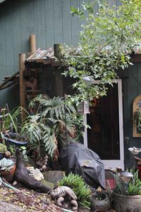11220 Visitar St, Felton, CA, 95018