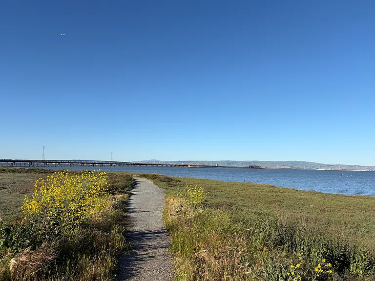 One step to the Bay trail