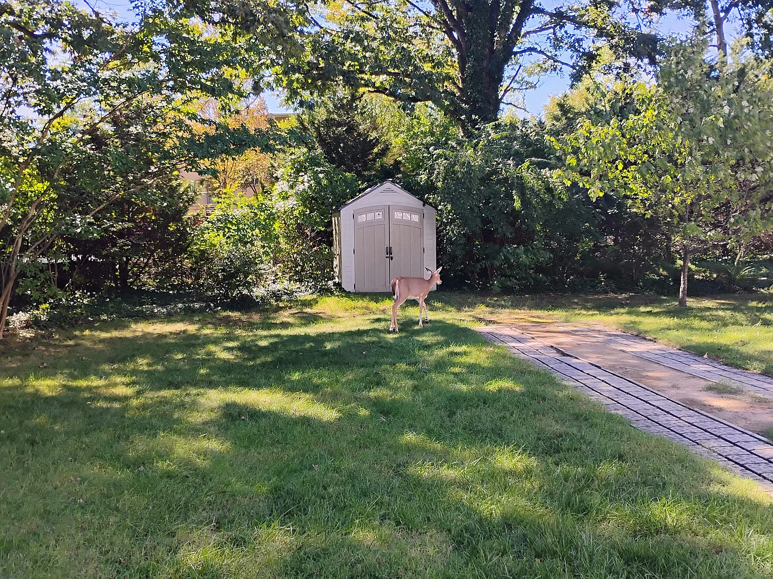 2 bed, 1.5 bath, 1080 sqft, $3,000 — Photo 4