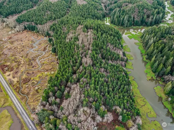 0 XX State Route 101, South Bend, WA 98586