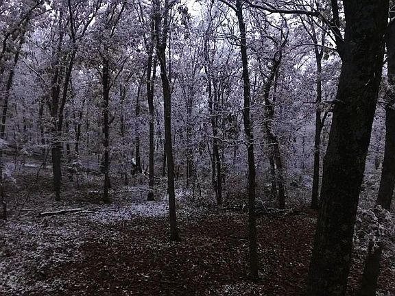 2nd image of County Rd