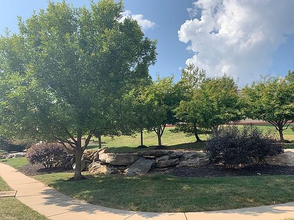 Park-like setting