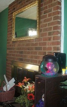 4th image of 6210 Adele Ln