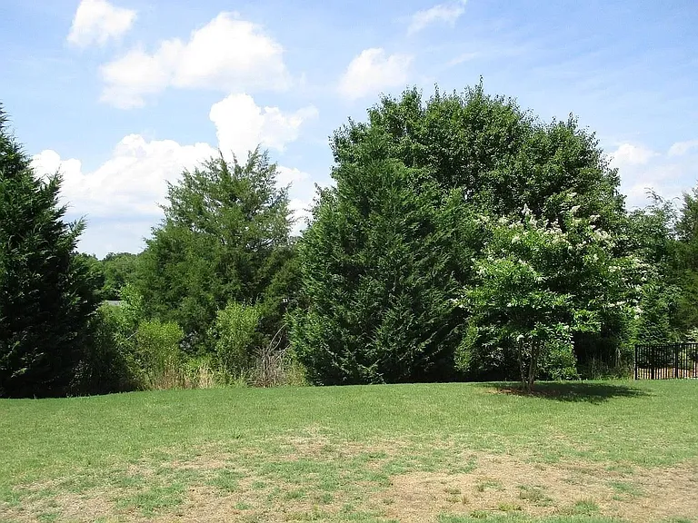 3723 Franklin Meadows Dr — Photo 6