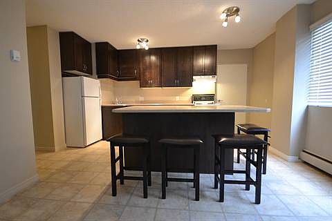kitchen/Living Area