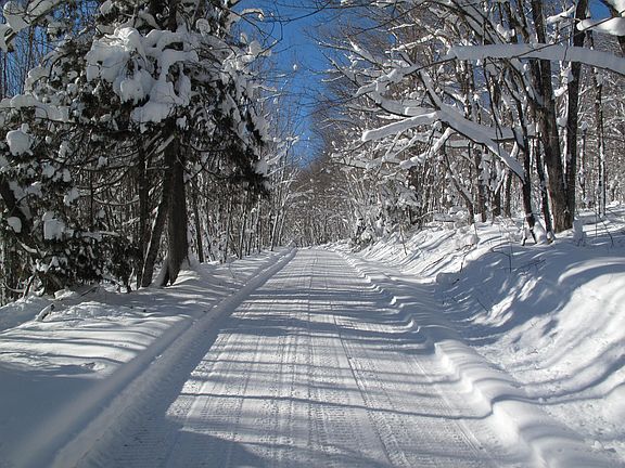 5th image of 204 E Deeryard Lake