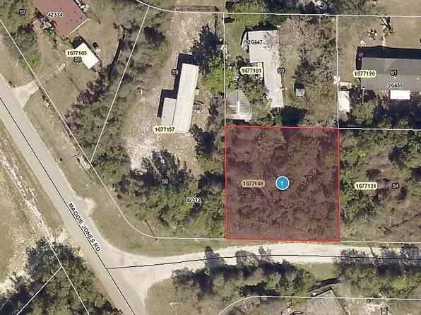 Palmetto Cir, Paisley, FL 32767