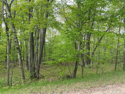 Ticino Dr, Reed City, MI, 49677