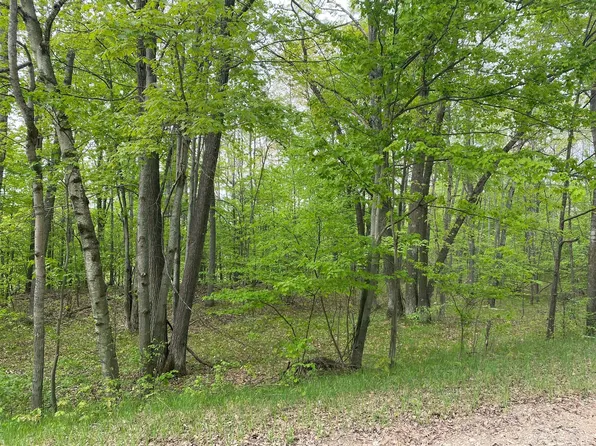 Ticino Dr, Reed City, MI 49677