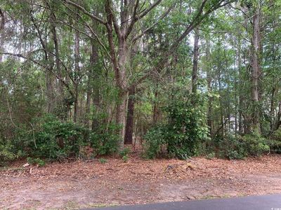 159 Sanderling Ave., Georgetown, SC, 29440