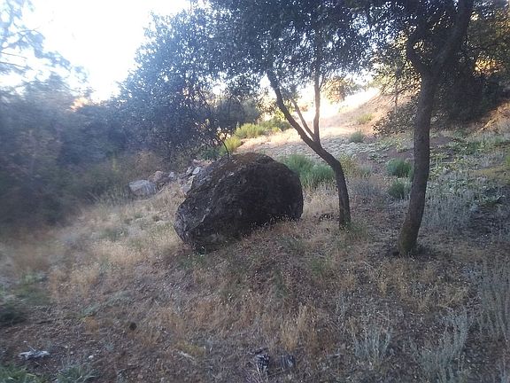 Climb the backyard Boulder! 