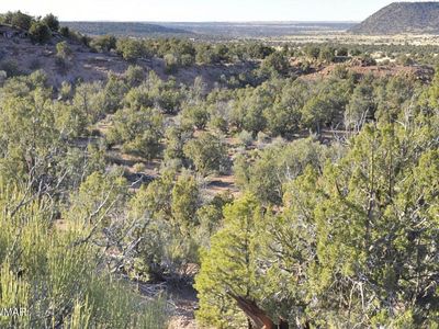 3687 Damron Valley Rd, Snowflake, AZ, 85937