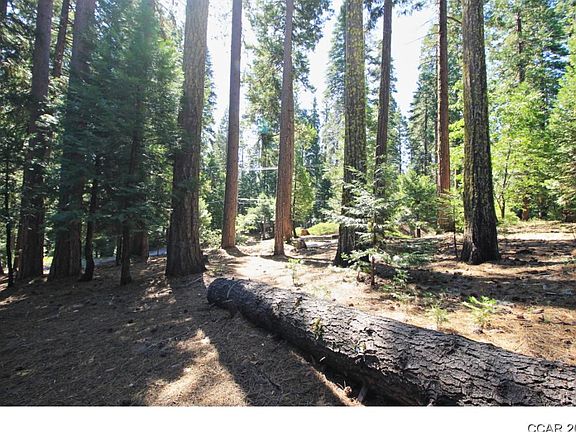 3rd image of 2923 Tahos Dr
