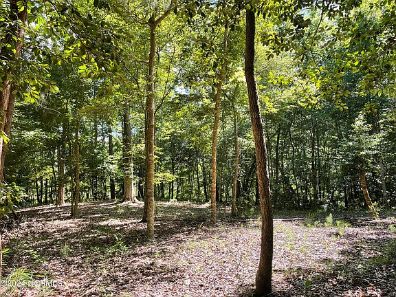3rd image of Lot 34 King Arthurs Court