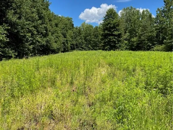 Cowley Rd, Columbia Station, OH 44028