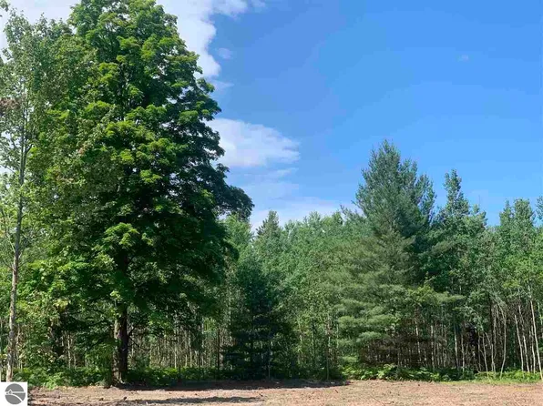 LOT 13 Metzgar Rd NW, Kalkaska, MI 49646