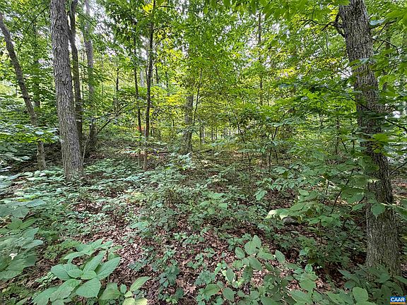 4th image of 383 Timber Camp Dr