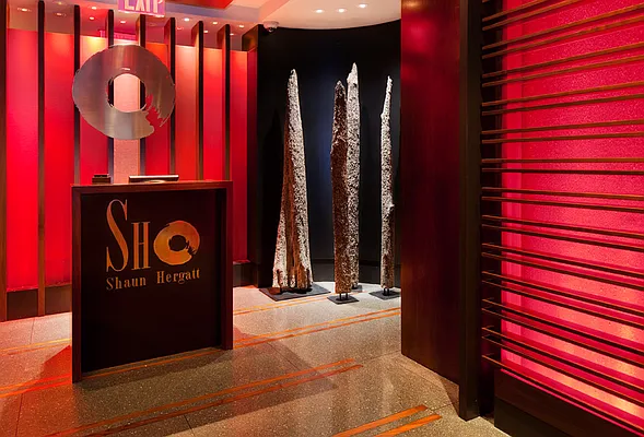 Sold by Synergy NYC | media 27