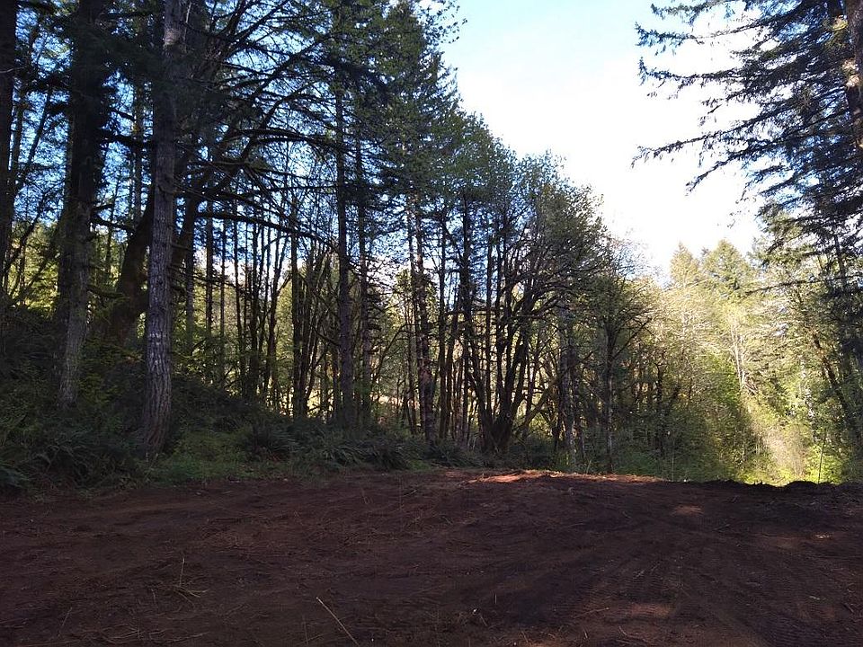 1st image of Wilson River Hwy