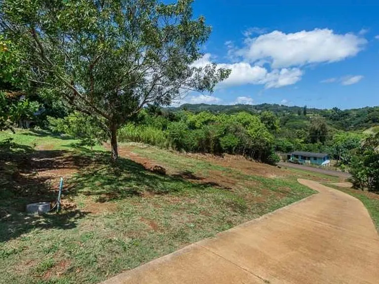 3409 Lauoho Rd — Photo 13