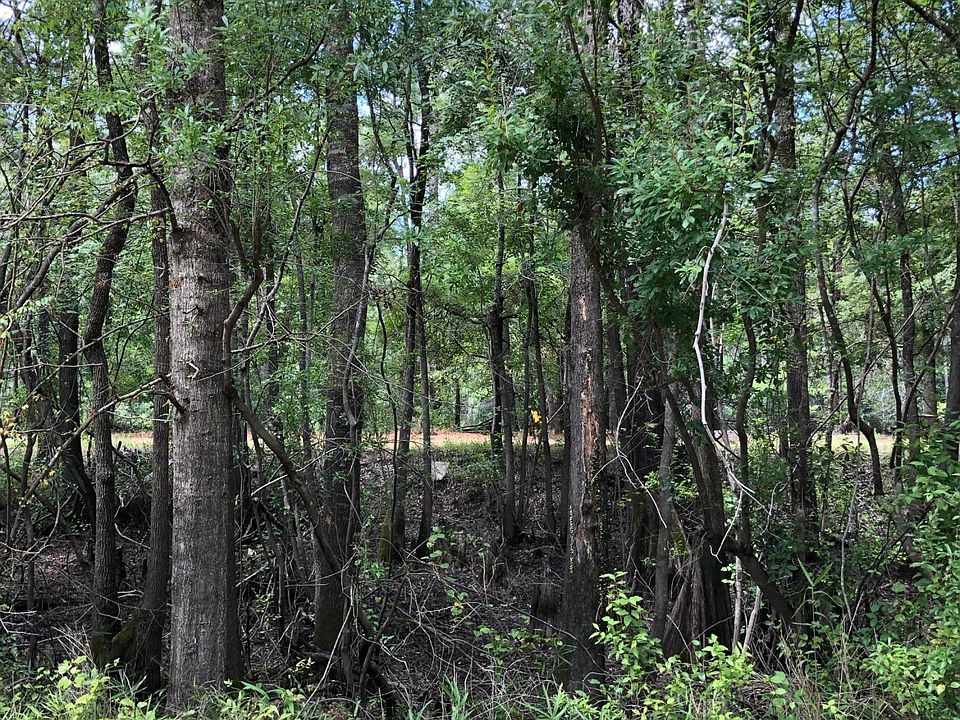 2nd image of Lot 6 Beaver Trail