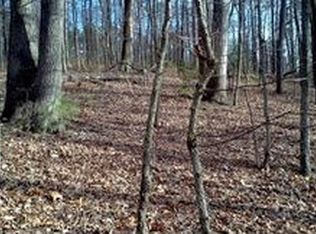 389 Mountain Pass Rd, Blue Ridge, VA 24064