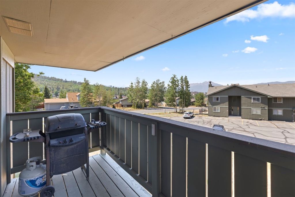 833 Straight Creek Drive UNIT 301, Dillon, CO - More